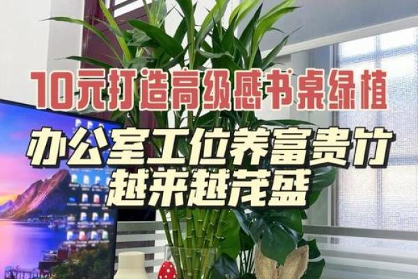 老板办公室风水布局 这么做才能招财进宝