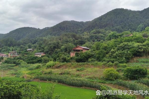 碧桂园风水大师