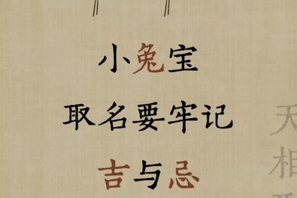 关于属兔购房的风水禁忌和宜忌你不能不知道