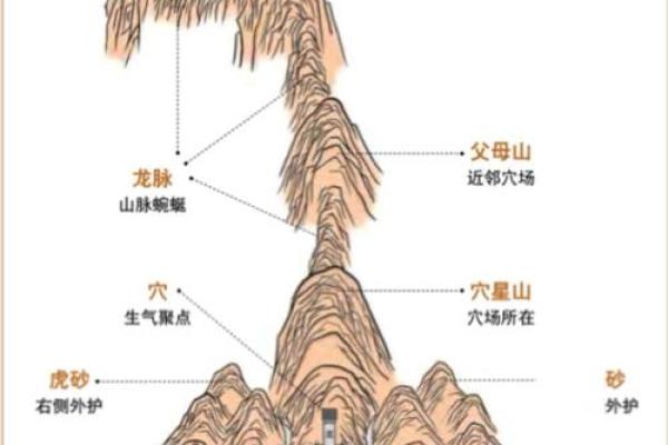 薜仁贵祖坟风水