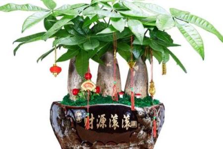 风水入户门正对什么最旺财收银台吗