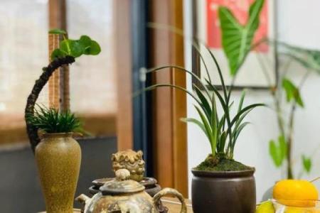 风水学：教你通过家居风水布局，提升文昌运！
