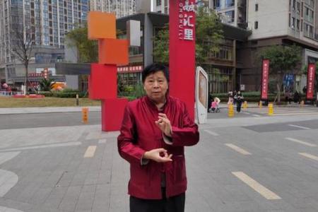 碧桂园风水大师