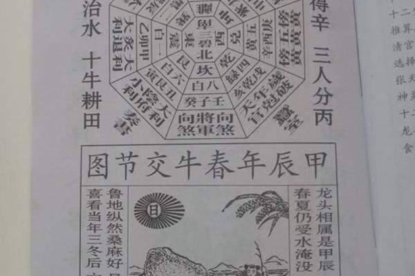 龙的风水_民间说年景有几龙治水