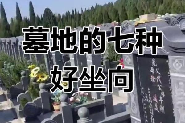 怎样的墓地有好风水