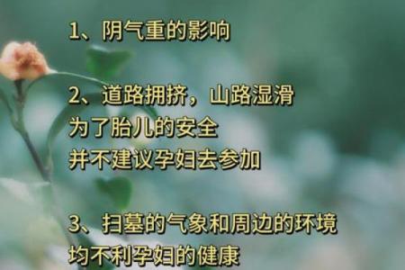 风水清明节要注意什么有哪些禁忌