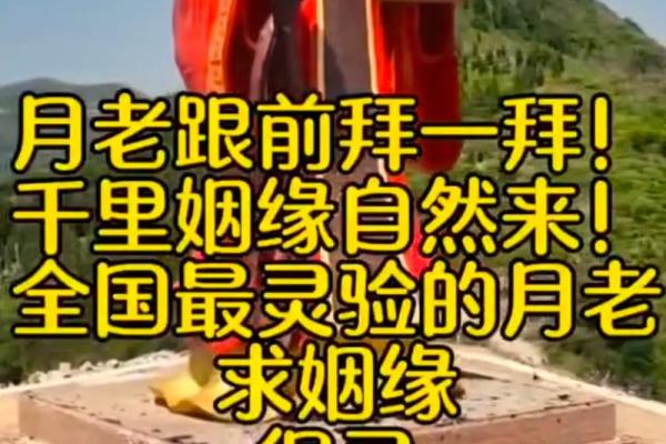 月老求姻缘的句子 月老求姻缘的句子图片？
