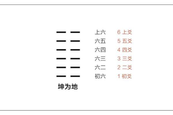 八爻风水