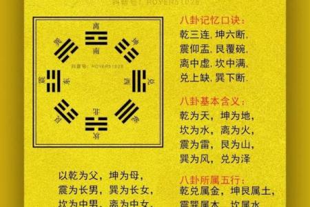 八卦风水学入门知识大全