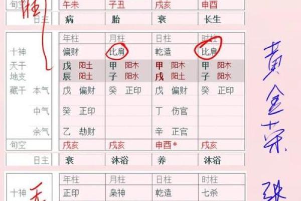怎么从四柱中看财运实例，四柱八字算命怎么看财运