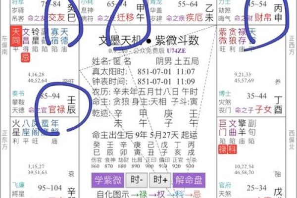 紫薇斗数看升迁