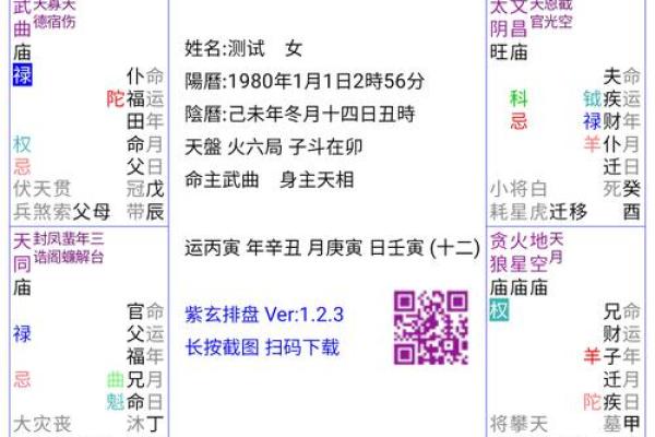 紫微斗数排盘天魁星坐命宫分析,十二宫分析