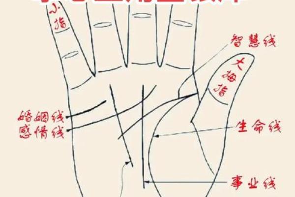 自学算命基础