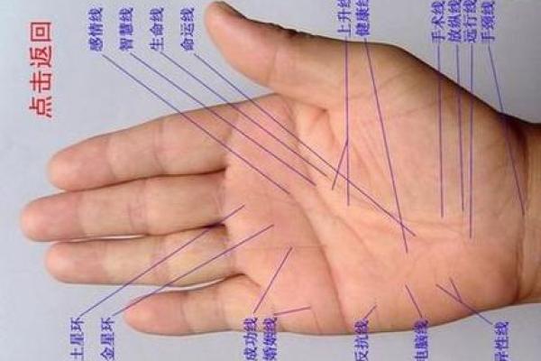 女人手相算命图解