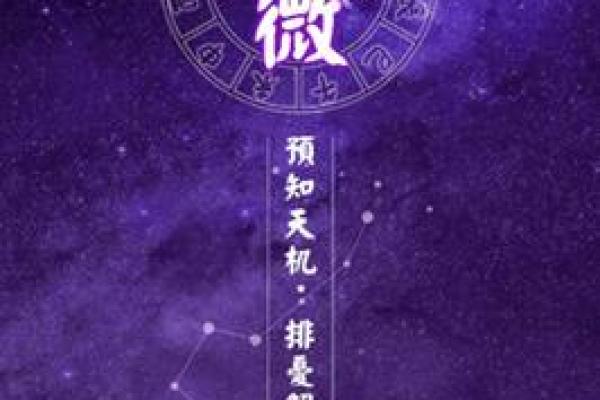 紫薇斗数专业名词