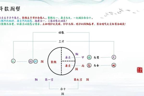 紫薇斗数星象都是什么意思