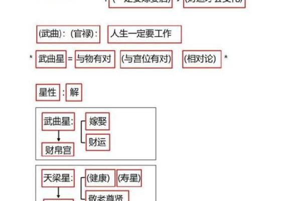 紫微斗数体系框架（零基础入门）