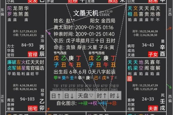 紫薇斗数流年命盘