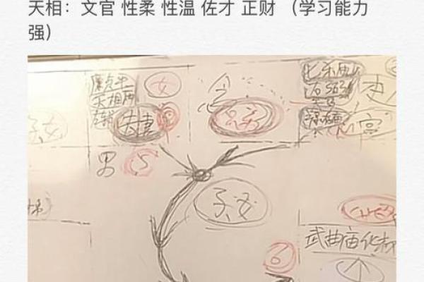 怎么学习紫薇斗数