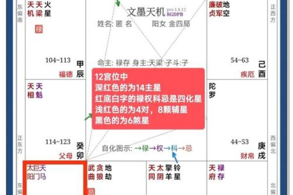 紫薇斗数忌星煞星
