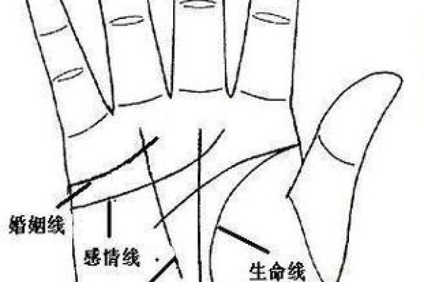 财运线算命