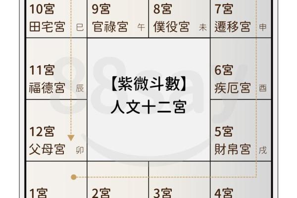 如何看自己的紫薇斗数
