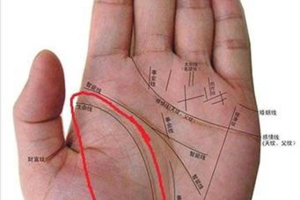 图解：手相上升线算命