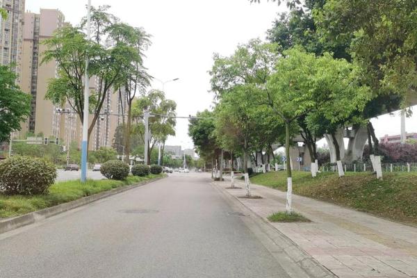 小孩子能算命吗