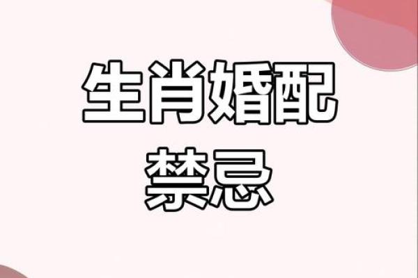 算命蛇猪