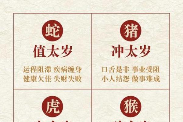 算命蛇猪