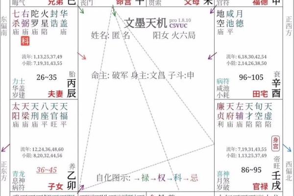 紫薇斗数状元格