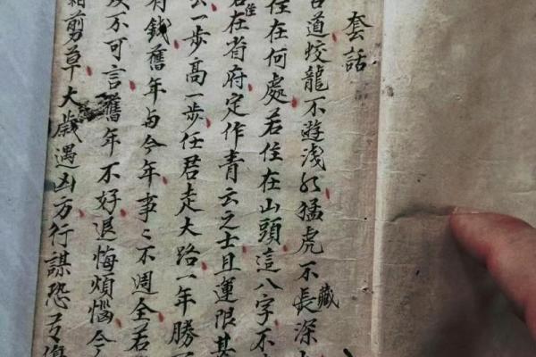 清代写本算命书