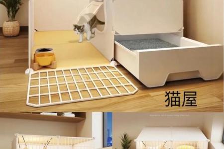 什么房子养猫更好风水好的