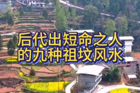 这种风水好，能造福后代易出贵人！
