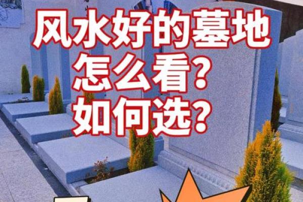 怎么看农村祖坟风水宝地的要求