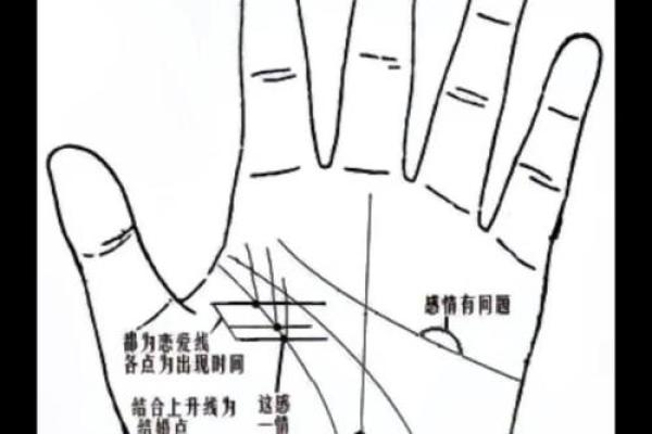 手纹算命图解【高清】