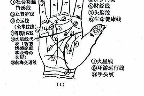 手纹算命图解【高清】