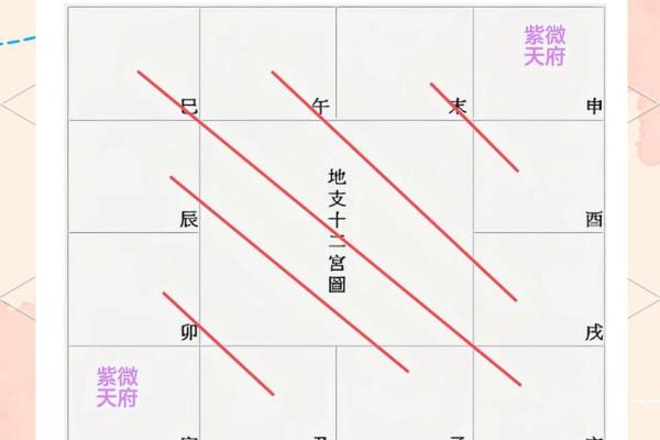 紫微斗数学习 紫微斗数在线排盘免费？