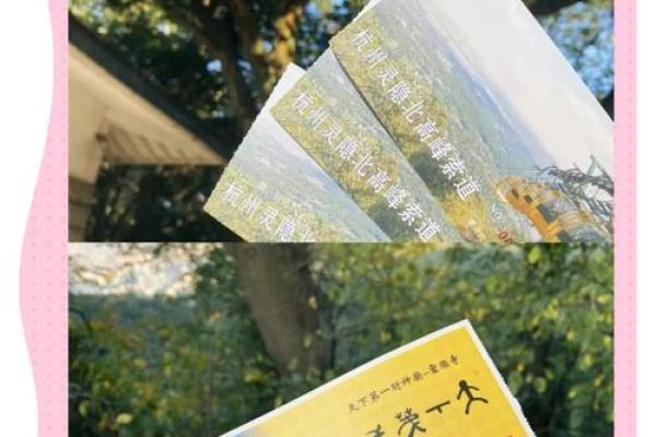 灵顺寺96签是什么意思
