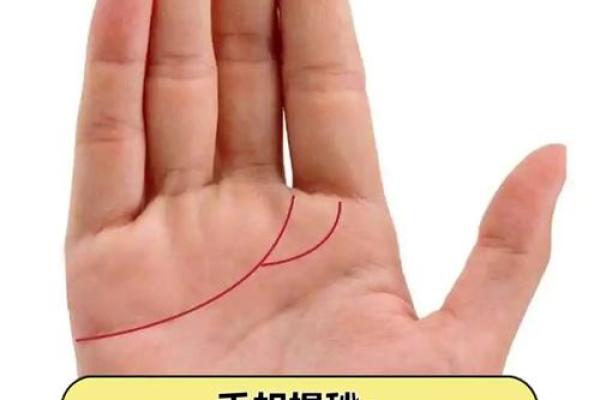 风水手相：什么样的感情线容易出现二婚
