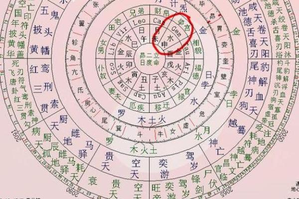 八字子女宫