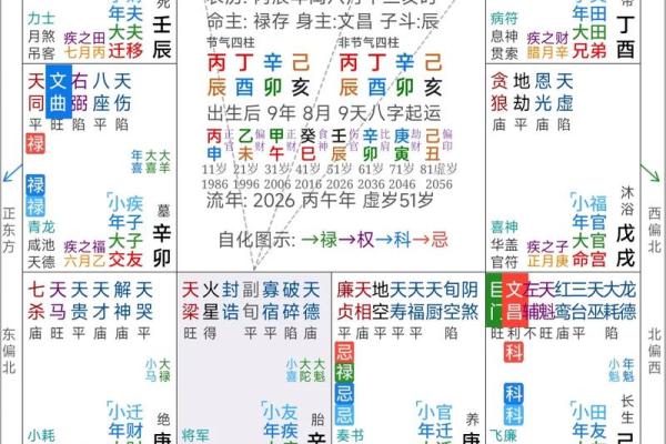 紫薇斗数照