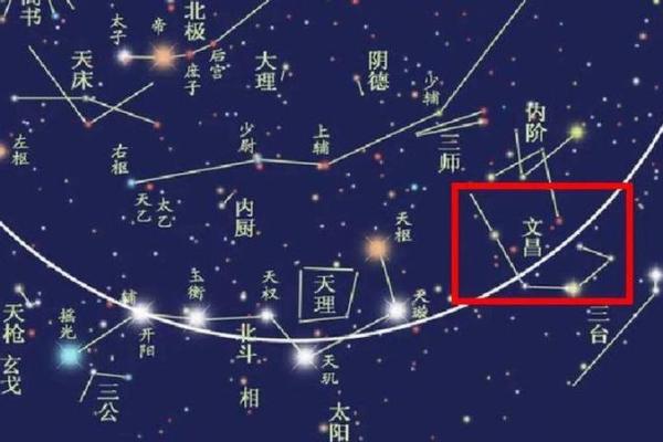 紫薇斗数照