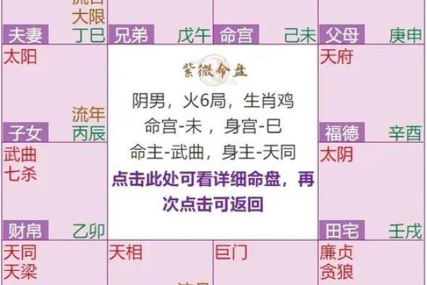 博士紫微斗数 紫微斗数 命宫 博士？