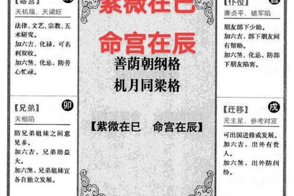 博士紫微斗数 紫微斗数 命宫 博士？