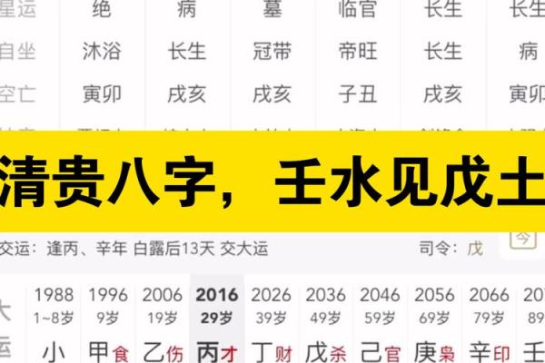 八字壬水日元分析：性格特点、事业、健康与婚姻
