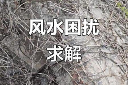 那几类风水会导致家人得抑郁症