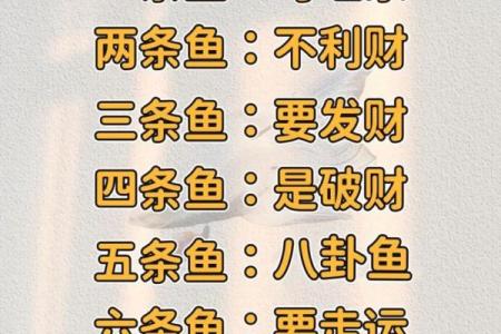 养鱼养几条好-千万注意条数对风水也有大影响