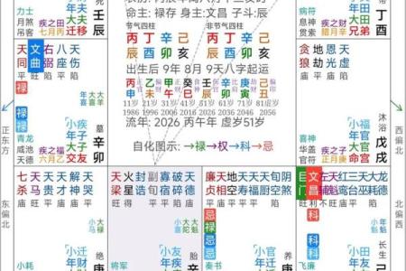 紫薇斗数照