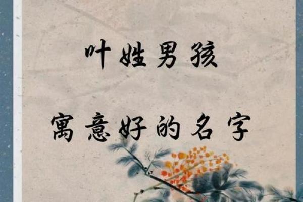 宝宝八字缺金爸爸姓叶男孩名字
